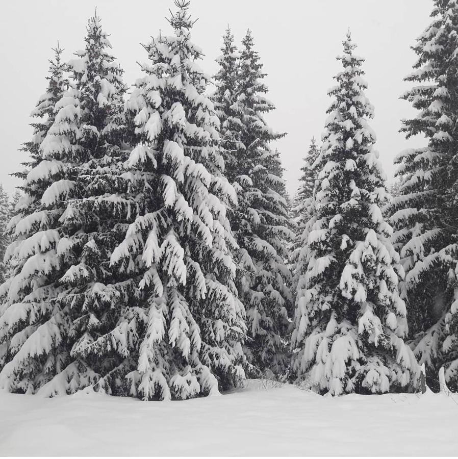 Markov Konak Jahorina Exterior foto